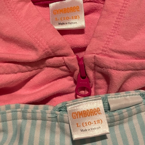 Gymboree GymGo Sweatshirt & Legging Set